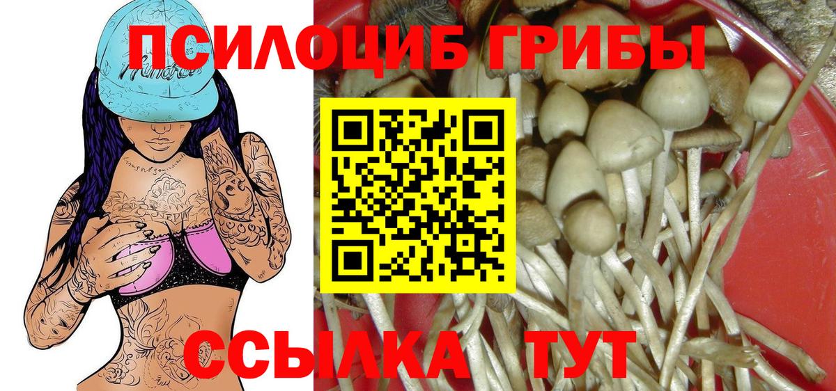 Псилоцибиновые грибы GOLDEN TEACHER  Вход с VPN  Саранск 